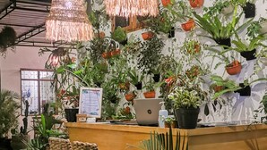 Una zona de recepción con un escritorio de madera, dos sillas de mimbre y un ordenador portátil.