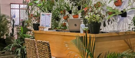 Una zona de recepción con un escritorio de madera, dos sillas de mimbre y un ordenador portátil.