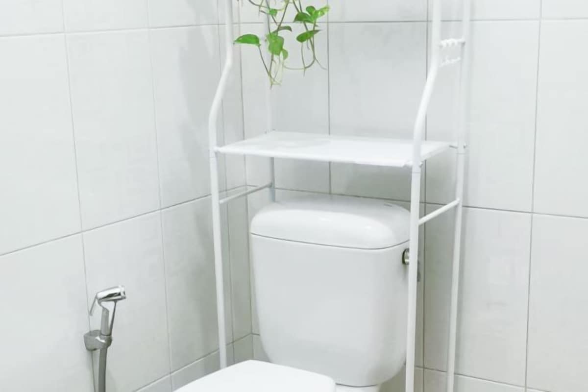 A bathroom with a white toilet, a shower, and a shelf with a plant.