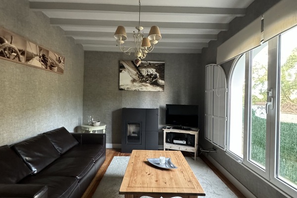 Televisor intel·ligent i llar de foc