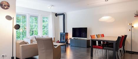 Fernseher, Kamin