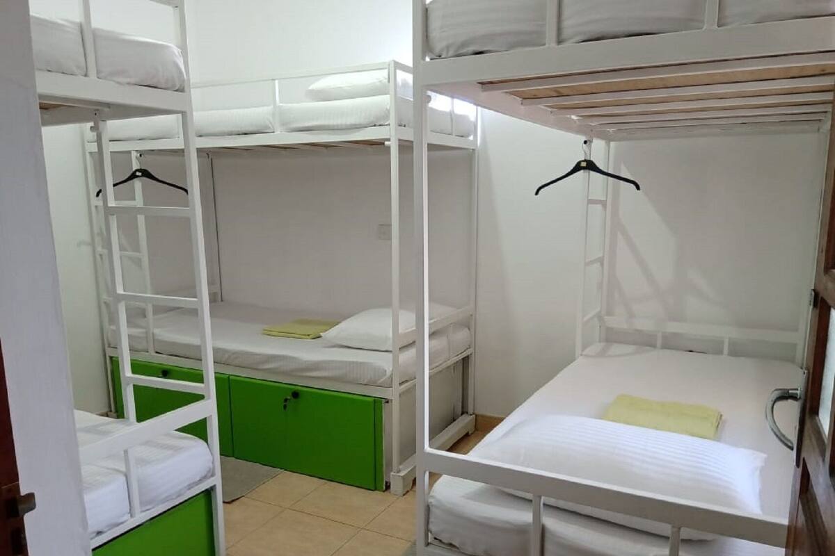 Comfort Shared Dormitory