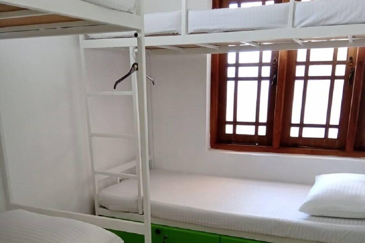 Comfort Shared Dormitory