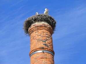 Ein Ziegelkamin mit einem Nest auf der Spitze.