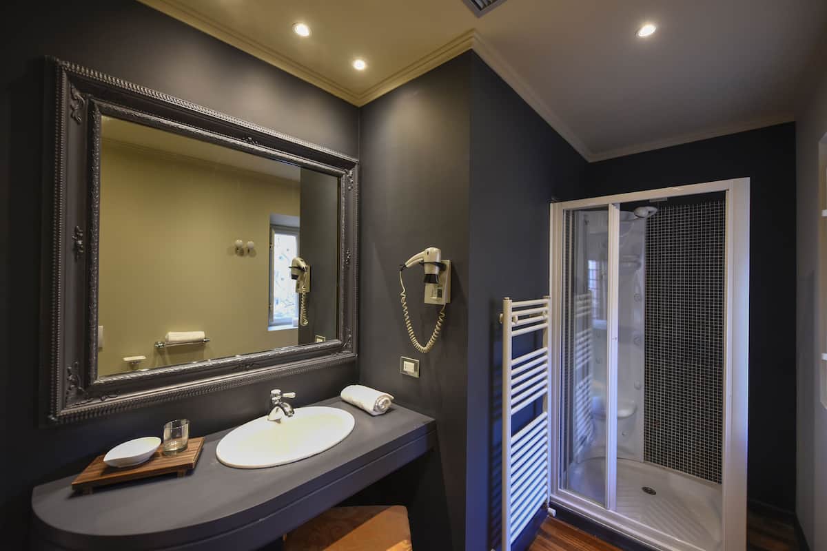 shower, free toiletries, hair dryer, slippers