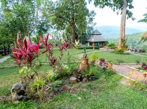 Garden - Chai Lai Mountain (Mae Wang)