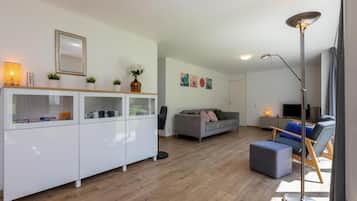TV, fireplace, DVD player