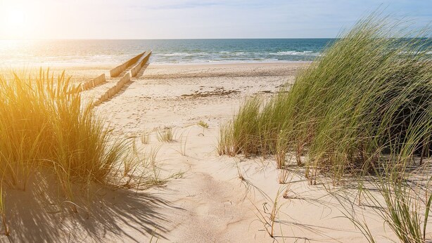 Ein Sandstrand mit einem Betonweg, der zum Meer führt, umgeben von hohem Gras.