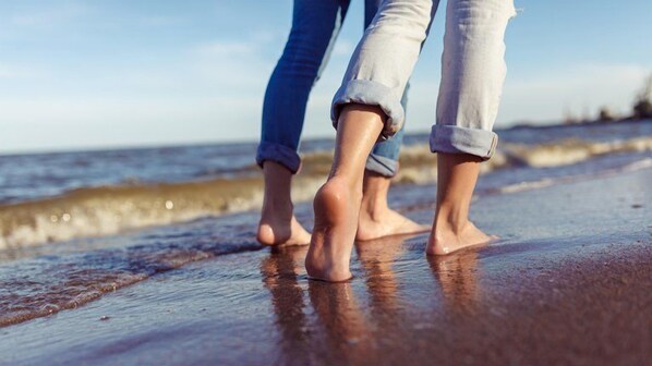 Playa en los alrededores 