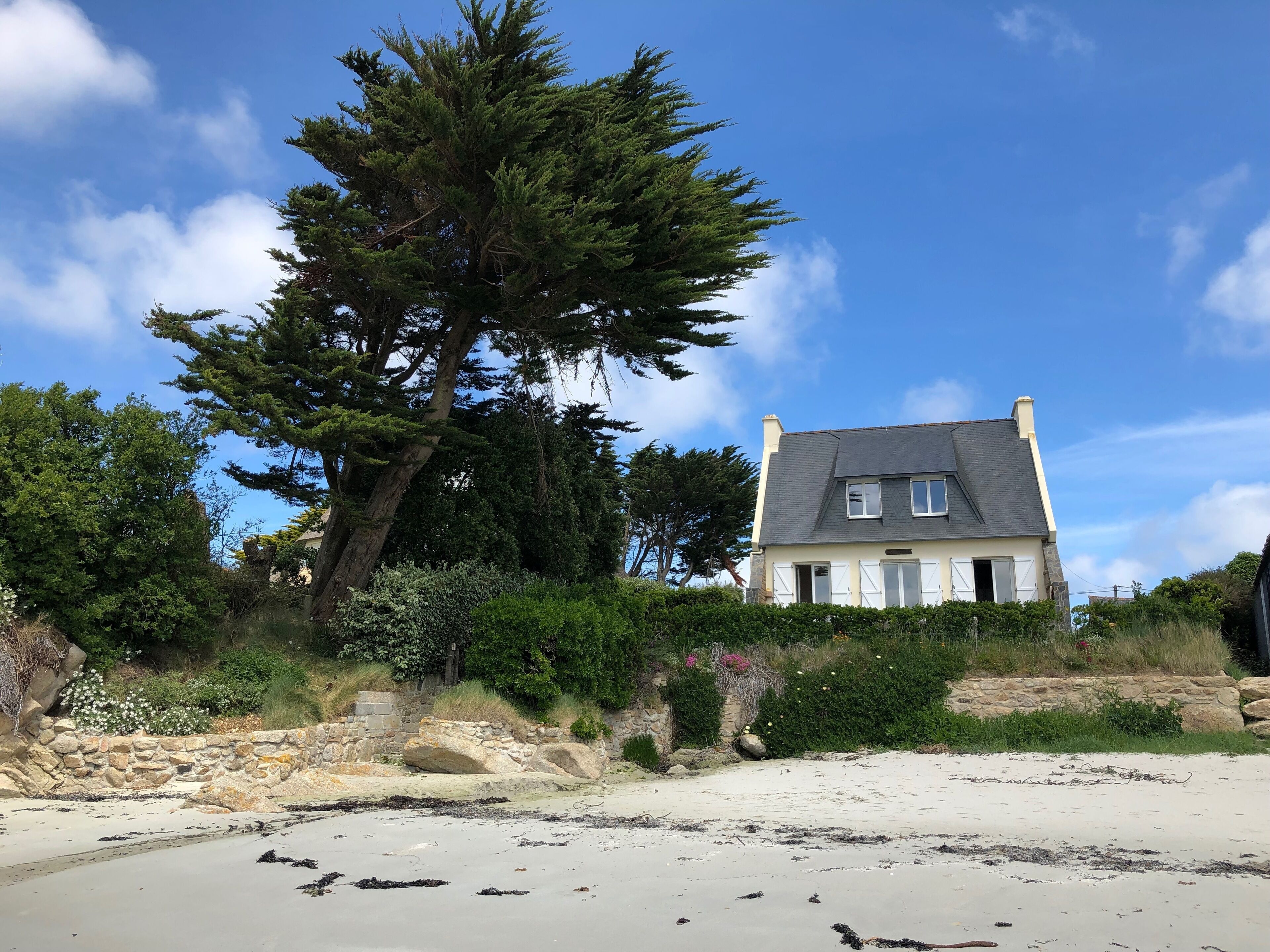 A coastal house with a stone wall and a large tree in front.