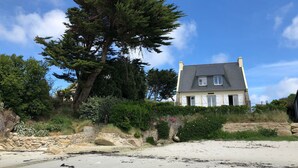Una casa costera con un muro de piedra y un gran árbol frente a ella.