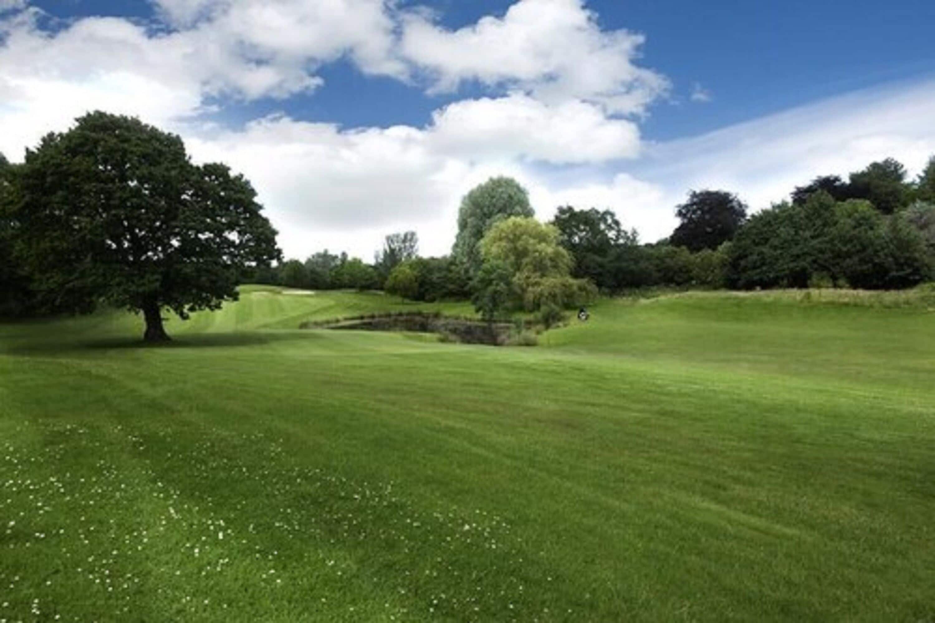 En golfbana med ett stort träd, en damm och en klar, blå himmel.