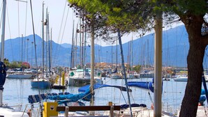 A marina with multiple boats docked, a tree in the foreground, and mountains in the background. - Cosy apartment for 3 guests with WIFI, A/C, TV, balcony and pets allowed (Saint-cyprien-plage)