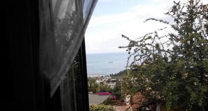 House with garden Lacco Ameno