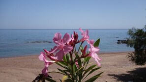 Exterior detail - Alisahni Beachfront Villas (Rhodes)