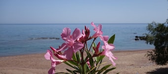 Alisahni Beachfront Villas