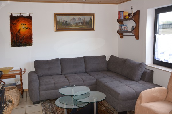 TV, fireplace, DVD player, books