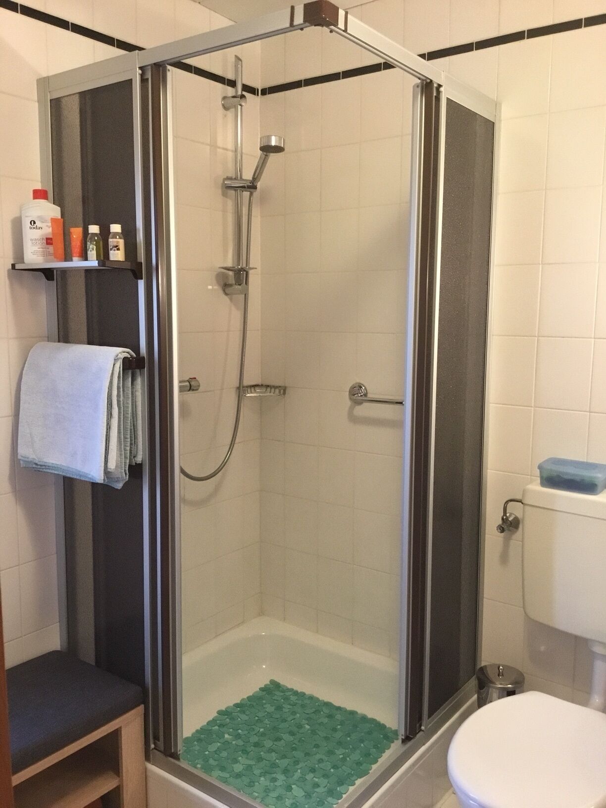A shower enclosure with a glass door, a white toilet, and a shelf with toiletries.
