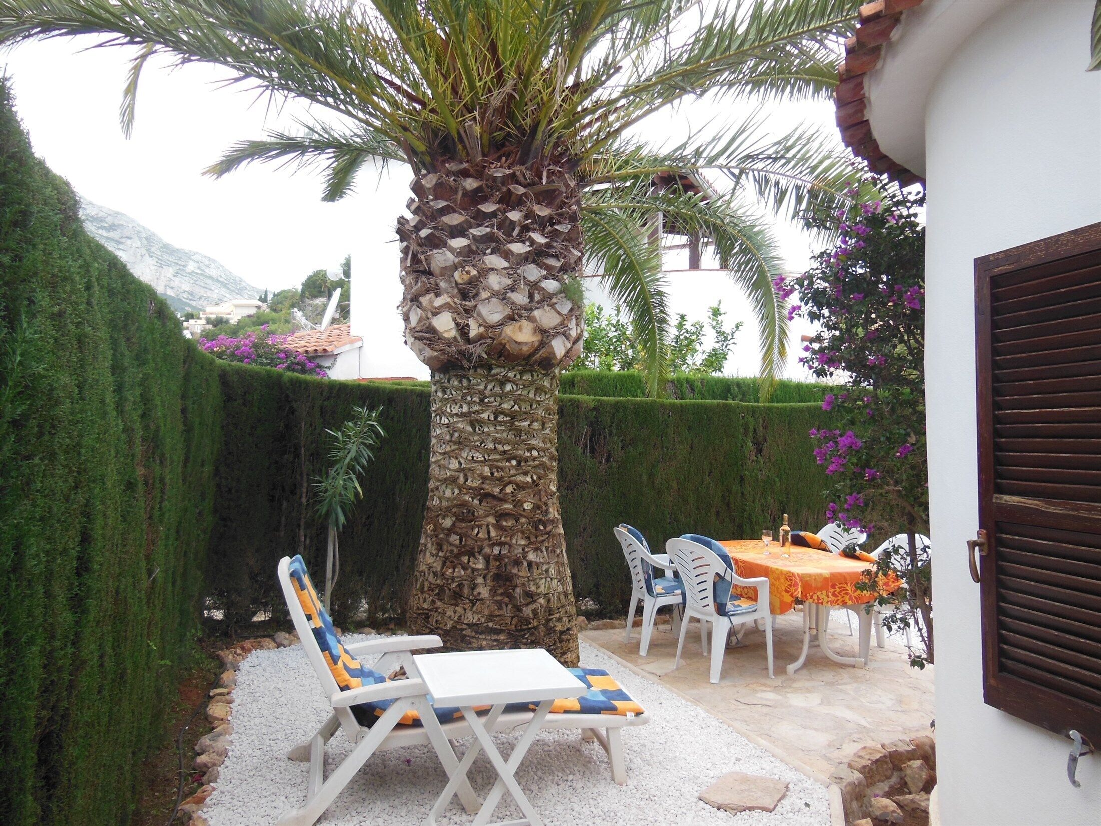 A patio with a palm tree, a white table with a patterned tablecloth, and two lounge chairs with blue cushions.