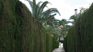 A pathway flanked by neatly trimmed hedges and palm trees, leading towards a building with a red roof. - House - Sleeps 4 - Pool (Denia)
