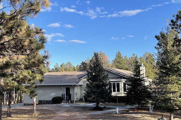A February day view of the house.