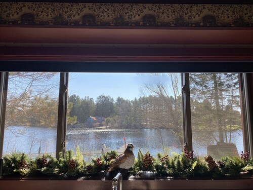 Echo Lake Retreat Relax & Play in the great northwoods! Pier, Utv, Snowmobile.