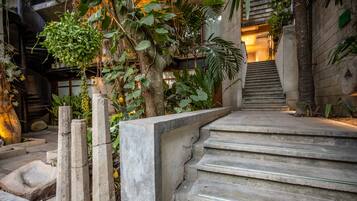 Un conjunto de escalones de hormigón que conducen a la entrada de un edificio, rodeado de abundante vegetación y un muro de piedra.