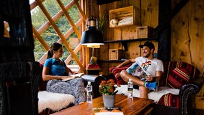 A cozy room with a wooden interior, a large window, a table with a plant, and a sofa. - Glamping FOREST EDGE (Kamnik)