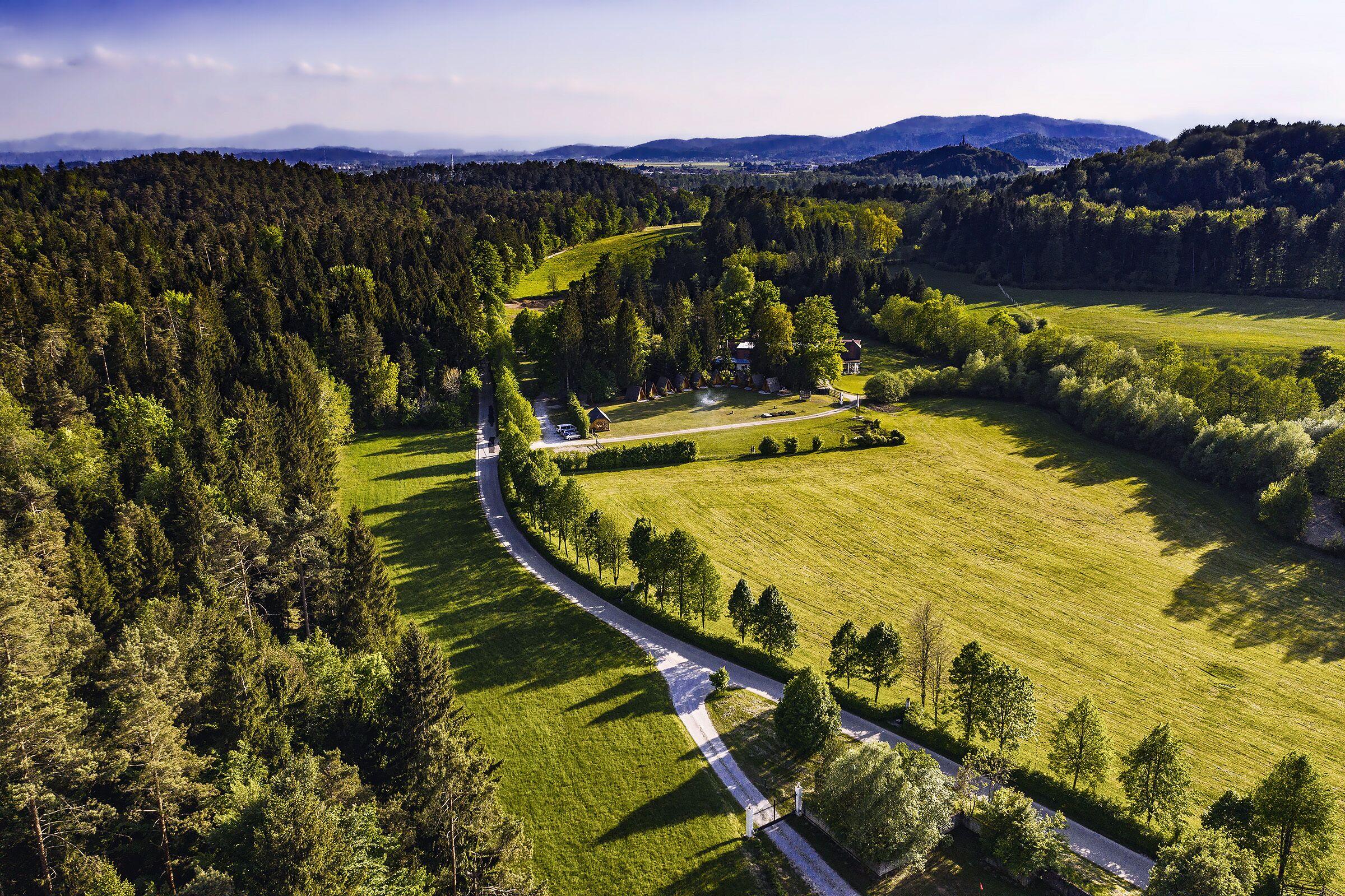 A rural landscape with a winding road, dense forest, and open fields.