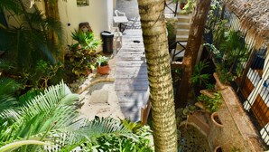 Un sendero estrecho bordeado de abundante follaje y plantas en macetas, que conduce a una silla y una mesa blancas frente a una pared.
