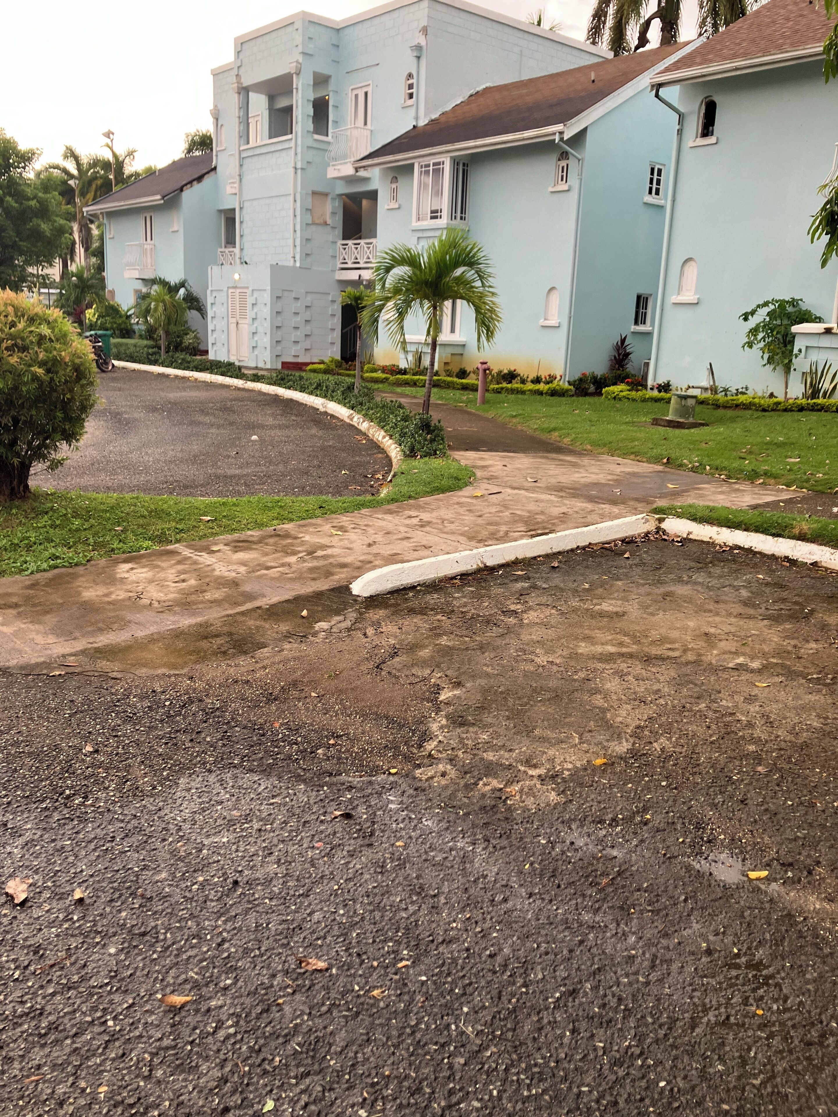 Un quartiere residenziale con case color celeste, un vialetto curvo e una piccola palma.