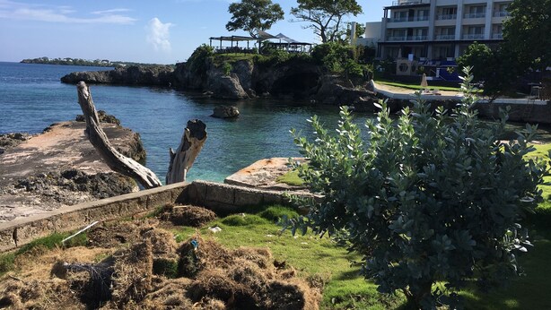 A coastal view with a rocky shoreline, a wooden structure on a cliff, and a building with balconies overlooking the sea. - The Point, Negril -1 BR, Ocean & beaches, Pool, Tennis, Snorkel 5 star location! (Negril)