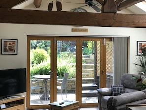 Smart TV, fireplace, DVD player, video library