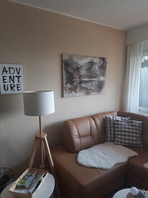 Fernseher, DVD-Player, Bücher, Musikbibliothek