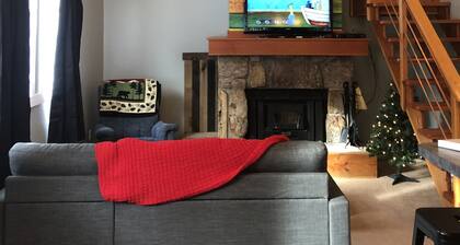 FUN & COSY CONDO IM GROSSEN WIESENDORF