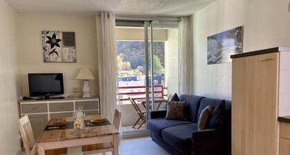 STUDIO WIFI TOUT CONFORT, A PROXIMITE DES COMMERCES ET DES TELECABINES du LYS