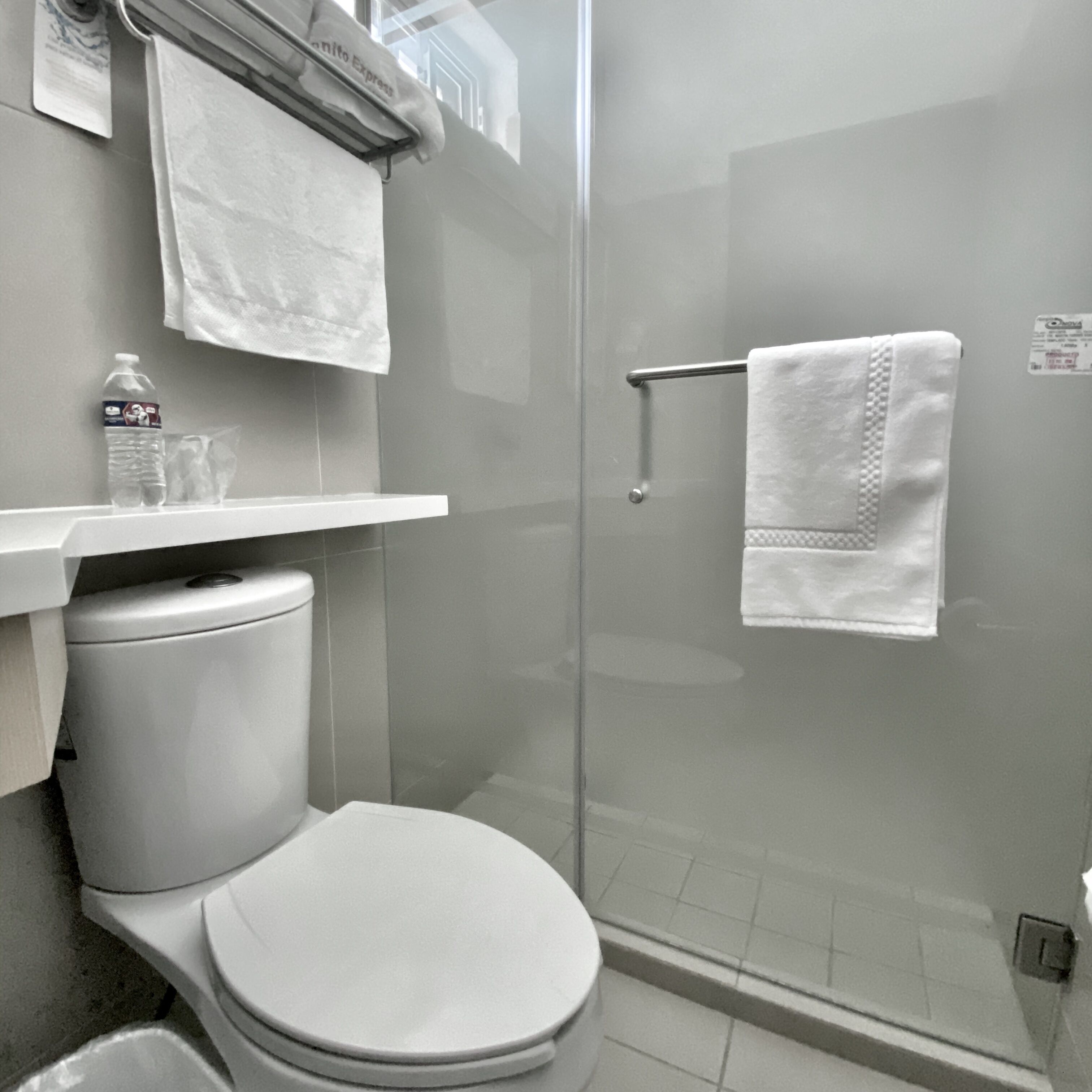 shower, bidet, towels