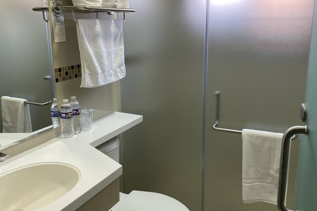 shower, bidet, towels