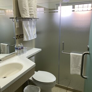 Een douche, een bidet, handdoeken