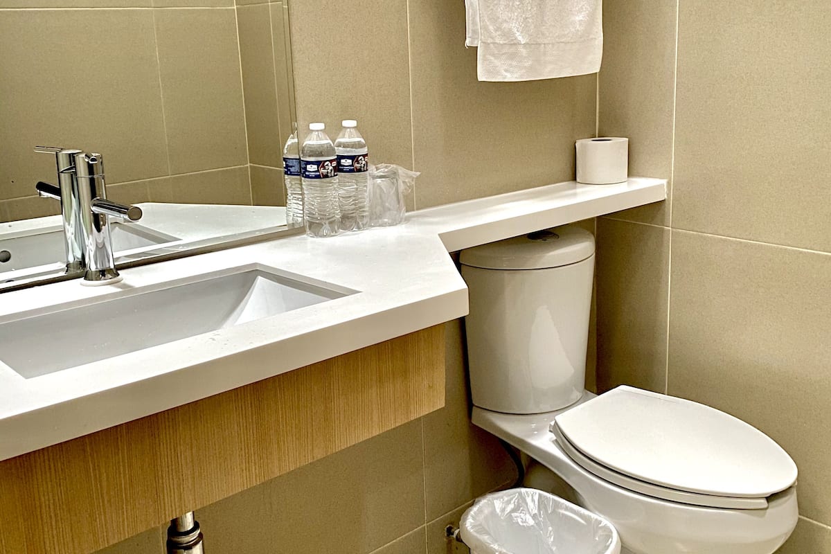 shower, bidet, towels