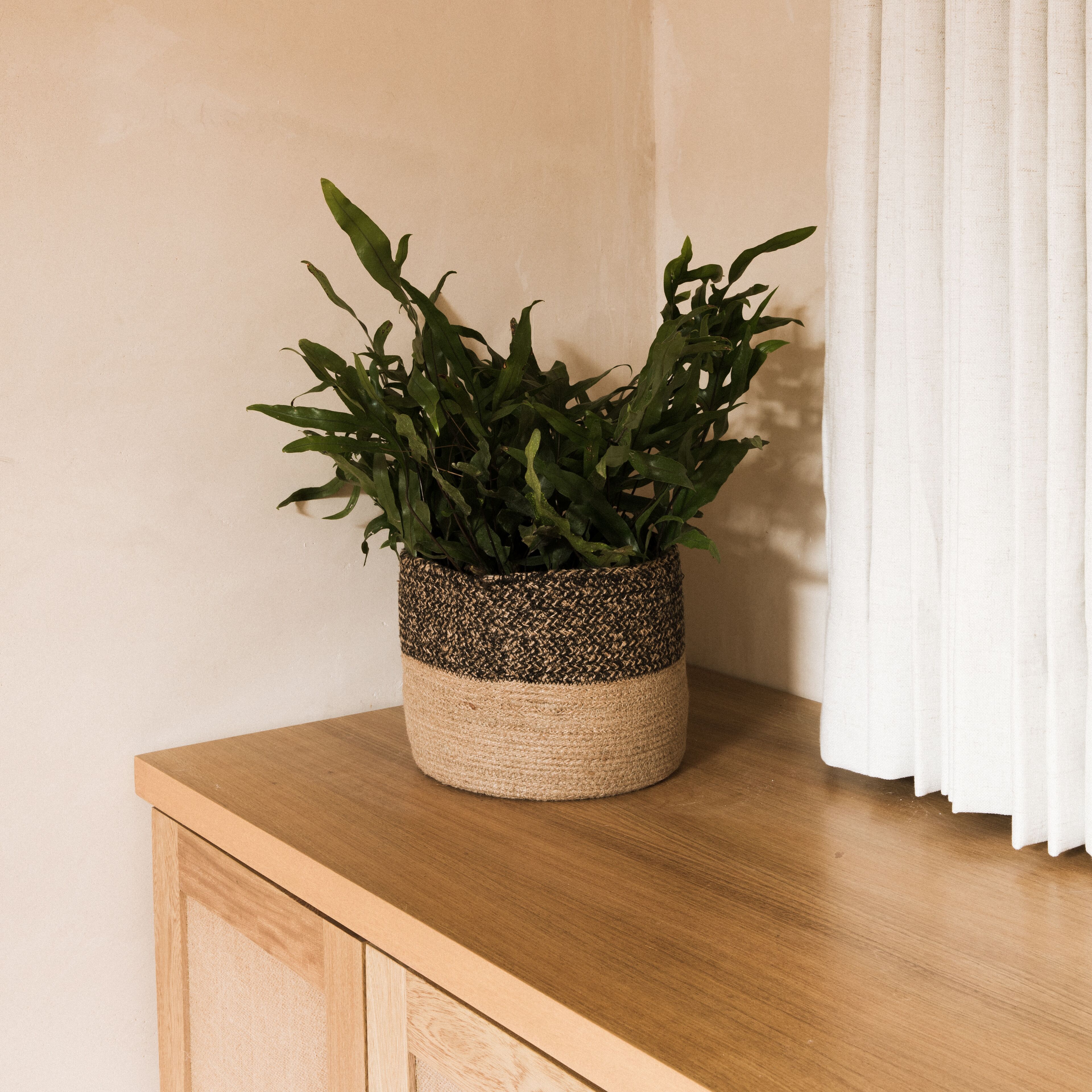 Foto - Casa Montore by Barrio Mexico