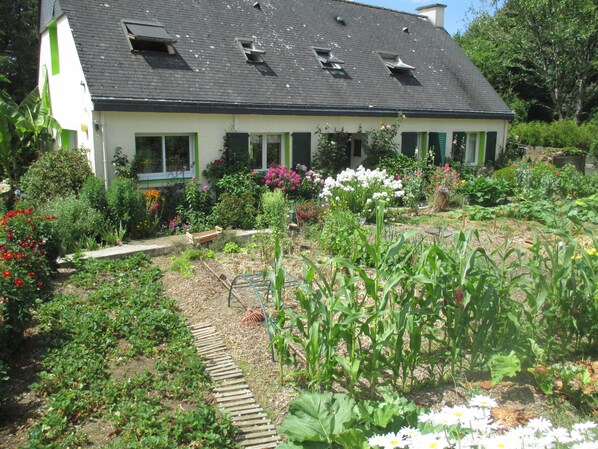 A house with a sloped roof, a garden with various plants and flowers, and a wooden pathway leading to the entrance.