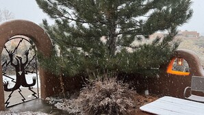 Un patio cubierto de nieve con una mesa, bancos, un árbol decorativo y una reja metálica con un diseño de ciervo.