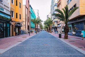 Eine Straße gesäumt von Palmen und Gebäuden mit unterschiedlichen Geschäften.