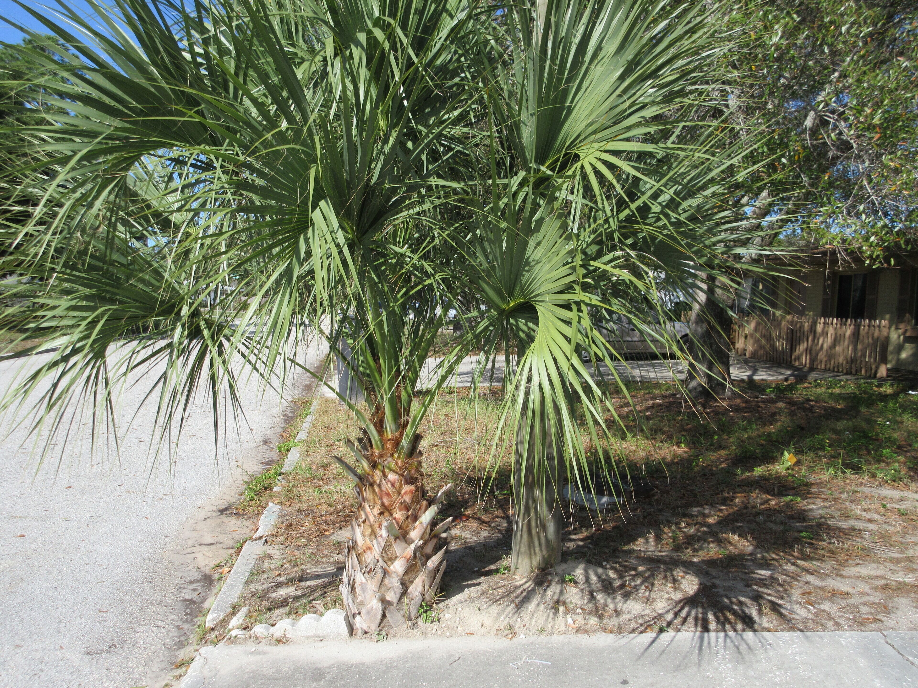 3 Bedroom 2 bath,fresh interior. Minutes away from beaches and popular locations