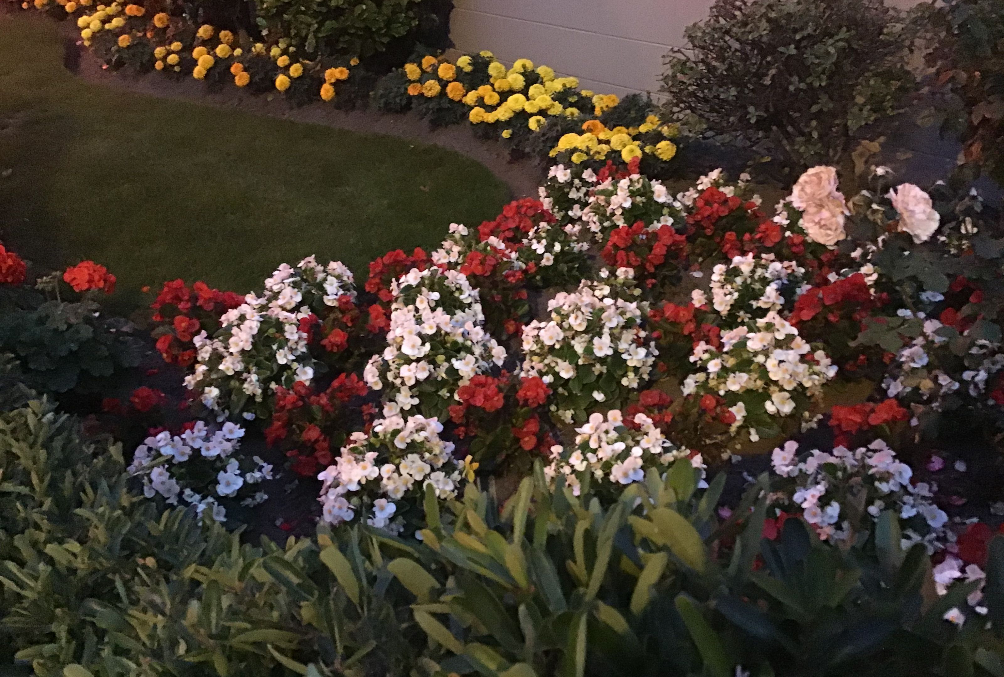 Foto - Avon City Motel