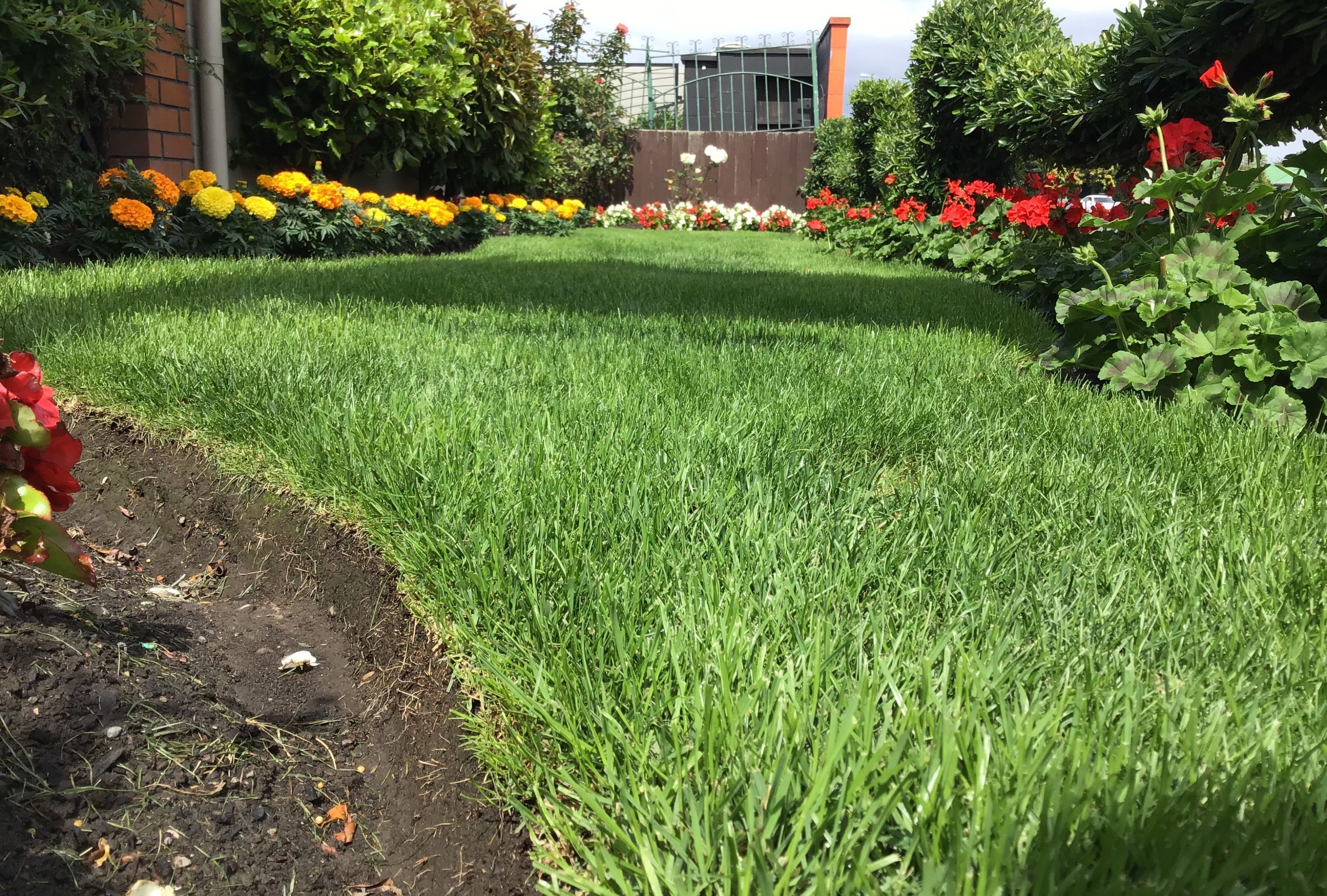 Un jardín bien cuidado con una variedad de flores coloridas y césped impecable.