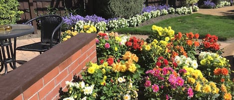 Jardim