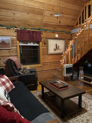 智能电视、壁炉、DVD 播放器、书