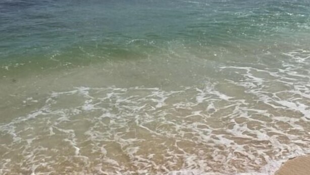 Une plage à l’eau turquoise et limpide, bordée d’un rivage sablonneux.